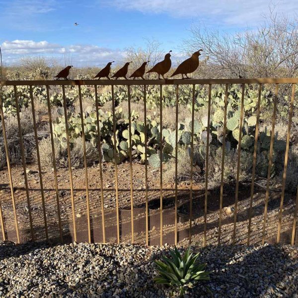 metal quail family on a fence