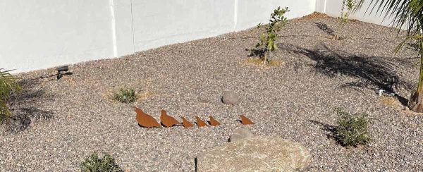 metal quail displayed on the ground